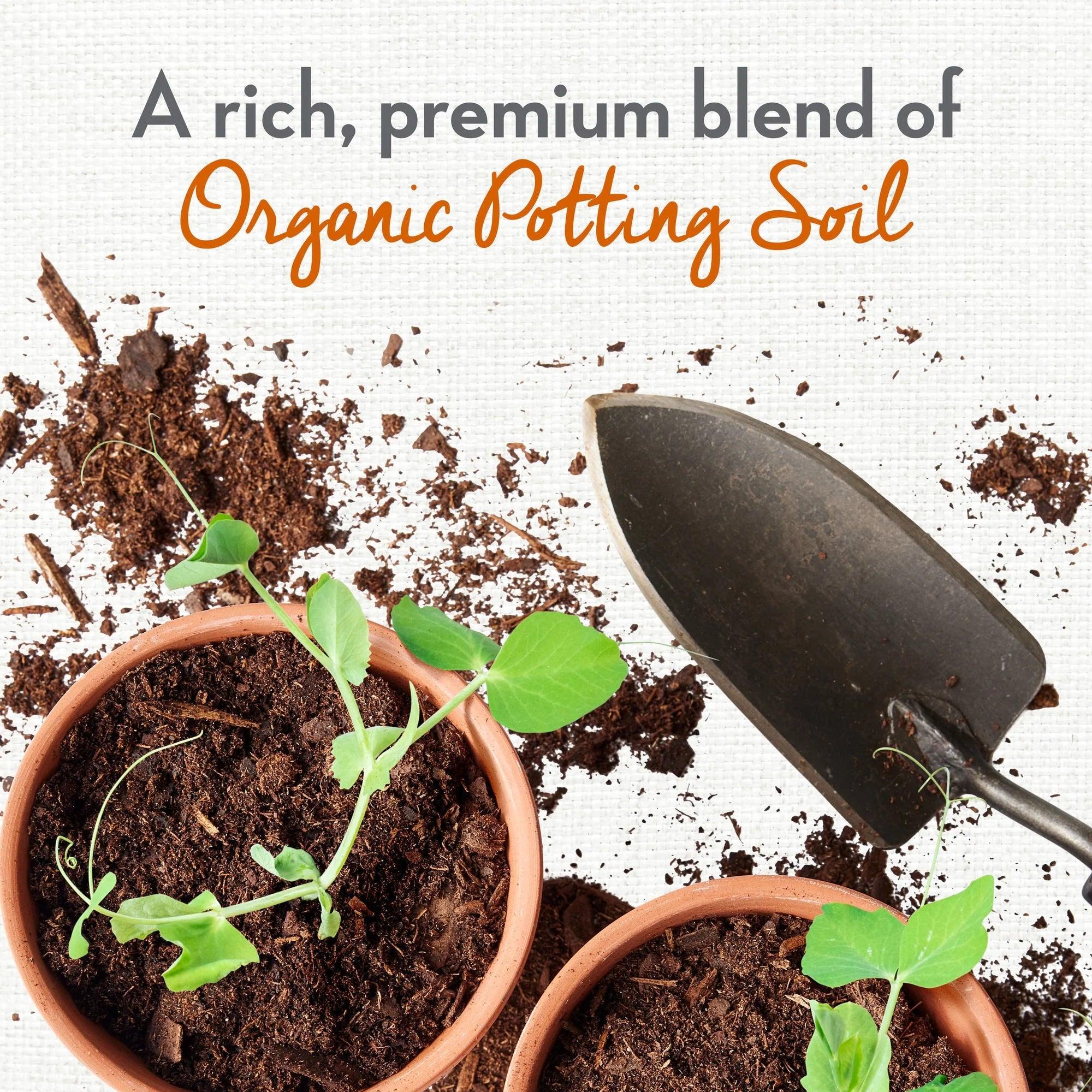 Organic Potting Soil for Container Gardens, 8 Dry Qt. - Bumble Plants