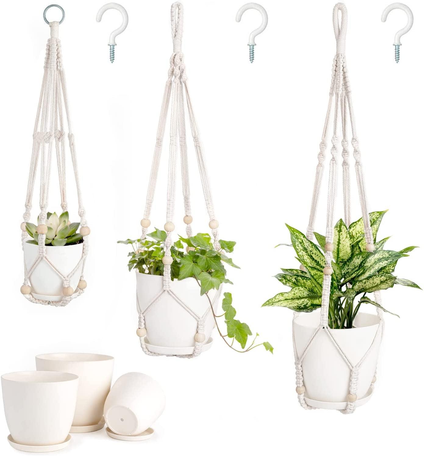 Ivory Macrame Planters, 3-Pack Set - Bumble Plants