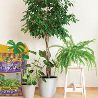 8 Qt. All Natural Indoor Potting Mix - Bumble Plants