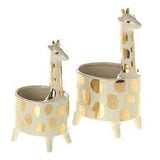 White Giraffe Pot - Bumble Plants