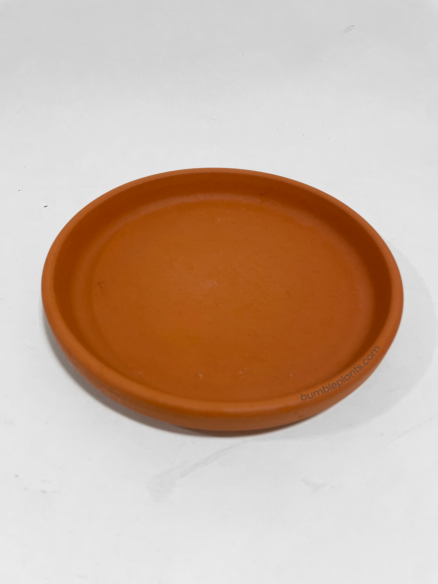 Modern Boho Terracotta Pot Saucer - Bumble Plants