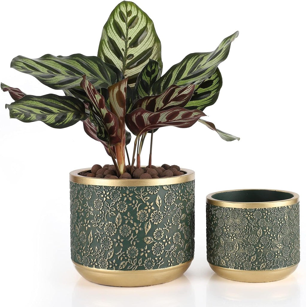 Exotica Luxe Golden Green Plant Pot (set of 2)